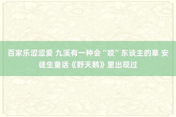 百家乐涩涩爱 九溪有一种会“咬”东谈主的草 安徒生童话《野天鹅》里出现过